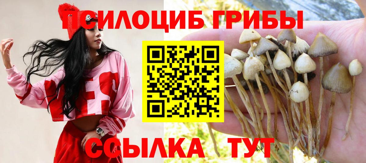 Галлюциногенные грибы Cubensis  Вход с VPN  Чернушка 