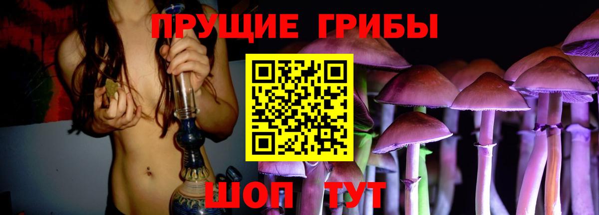 Галлюциногенные грибы Magic Shrooms Чернушка